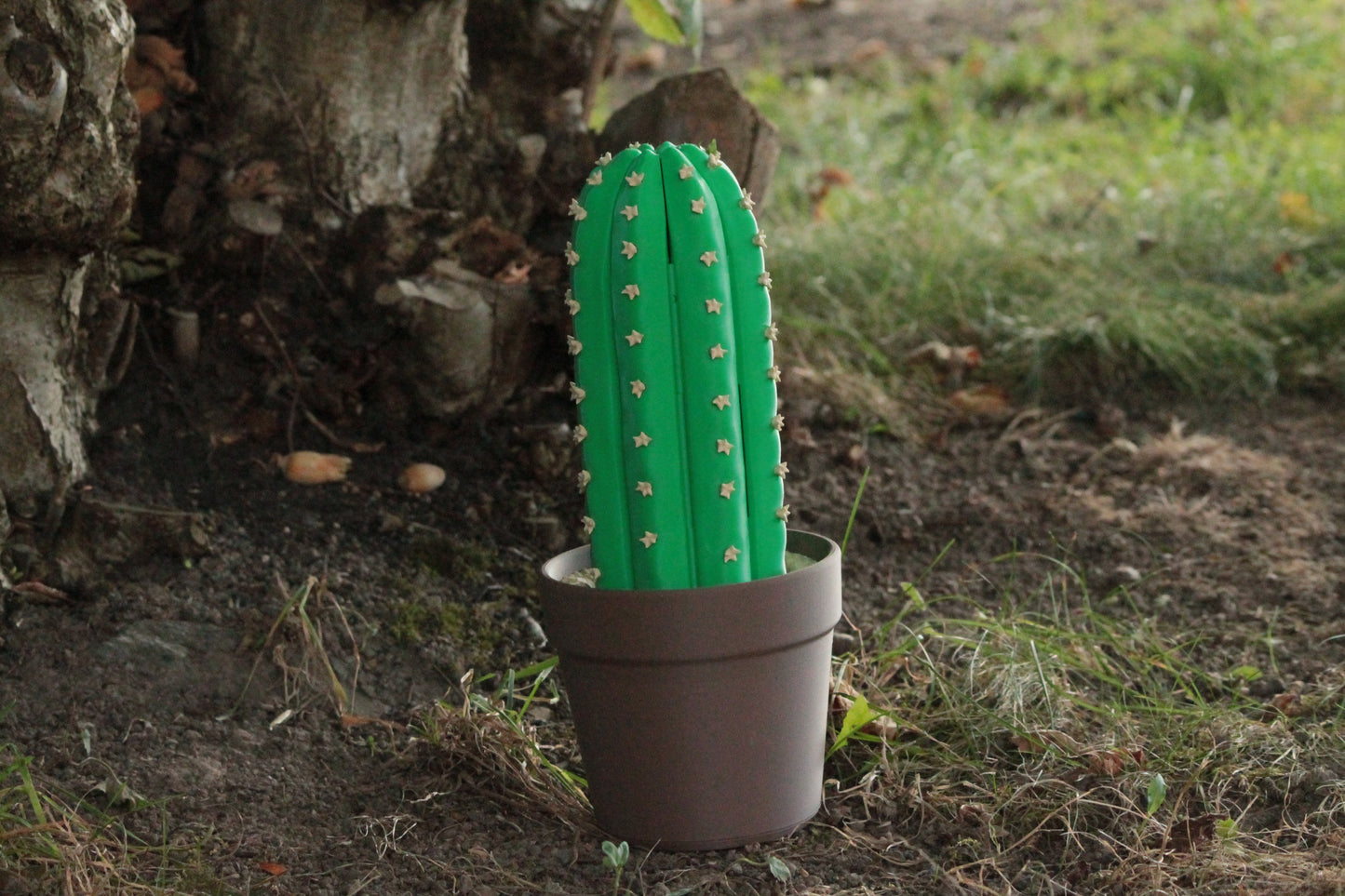 Cackti Chess Set + Damenfiguren & Aufbewahrung – Einzigartiges Fantasy-Schach ForgeCore