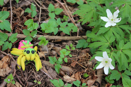 Strawberry Tiny Spider – Sommerliche Frische für Ihr Zuhause Cinderwing3D