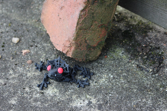 Count Frogula – Der gruselig-charmante Vampir-Frosch Cinderwing3D