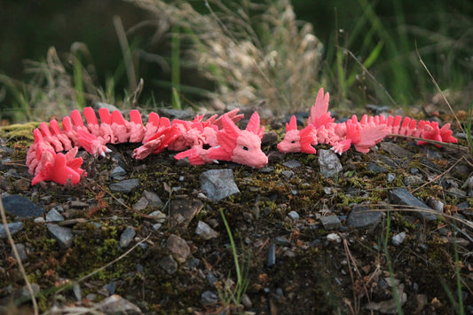 Axolotl Sky Dragon – Where Magic Meets Elegance Cinderwing3D