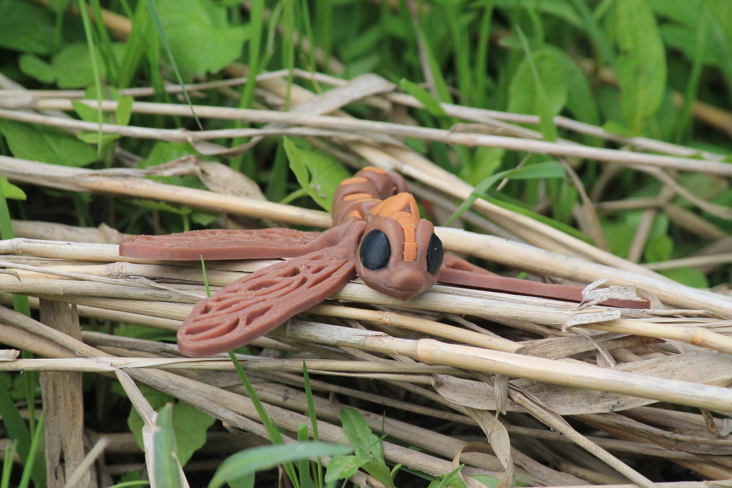 Dragonfly Cinderwing3D – Handcrafted Artistic Figurine with Delicate Details