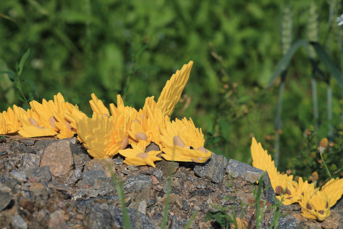 Sonnenblumen-Drachenschwinge – Sunflower Winged Dragon Cinderwing3D