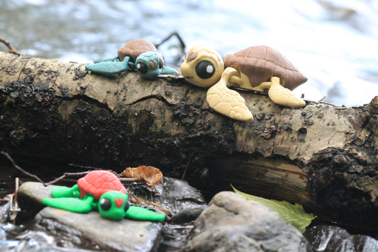 Sea Turtle Cinderwing3D – Fascinating Sea Turtle