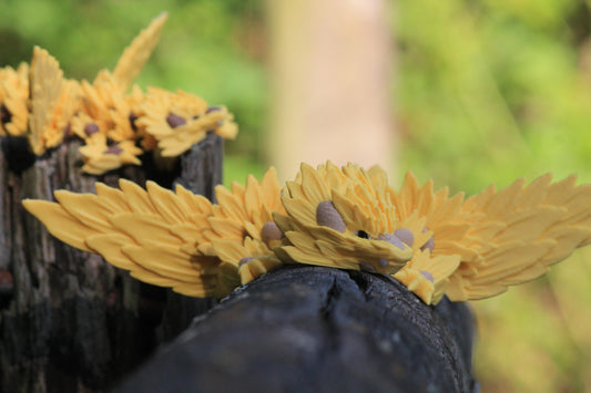 Sonnenblumen-Drachenschwinge â Sunflower Winged Dragon Cinderwing3D