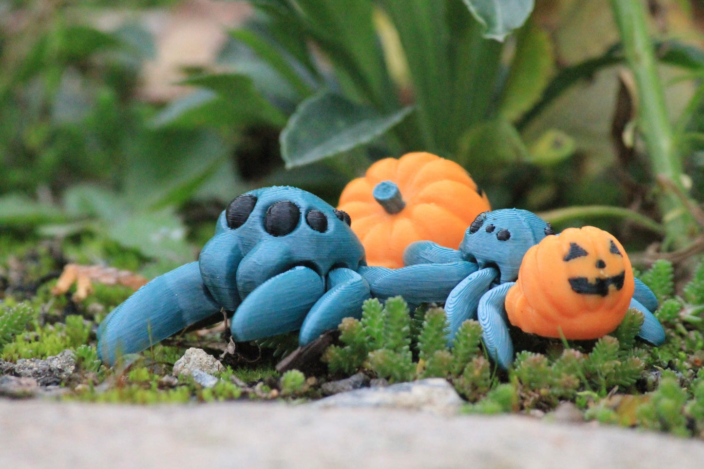 Fröhlich und Gruselig – die Halloween Jacko-Spinne Cinderwing3D