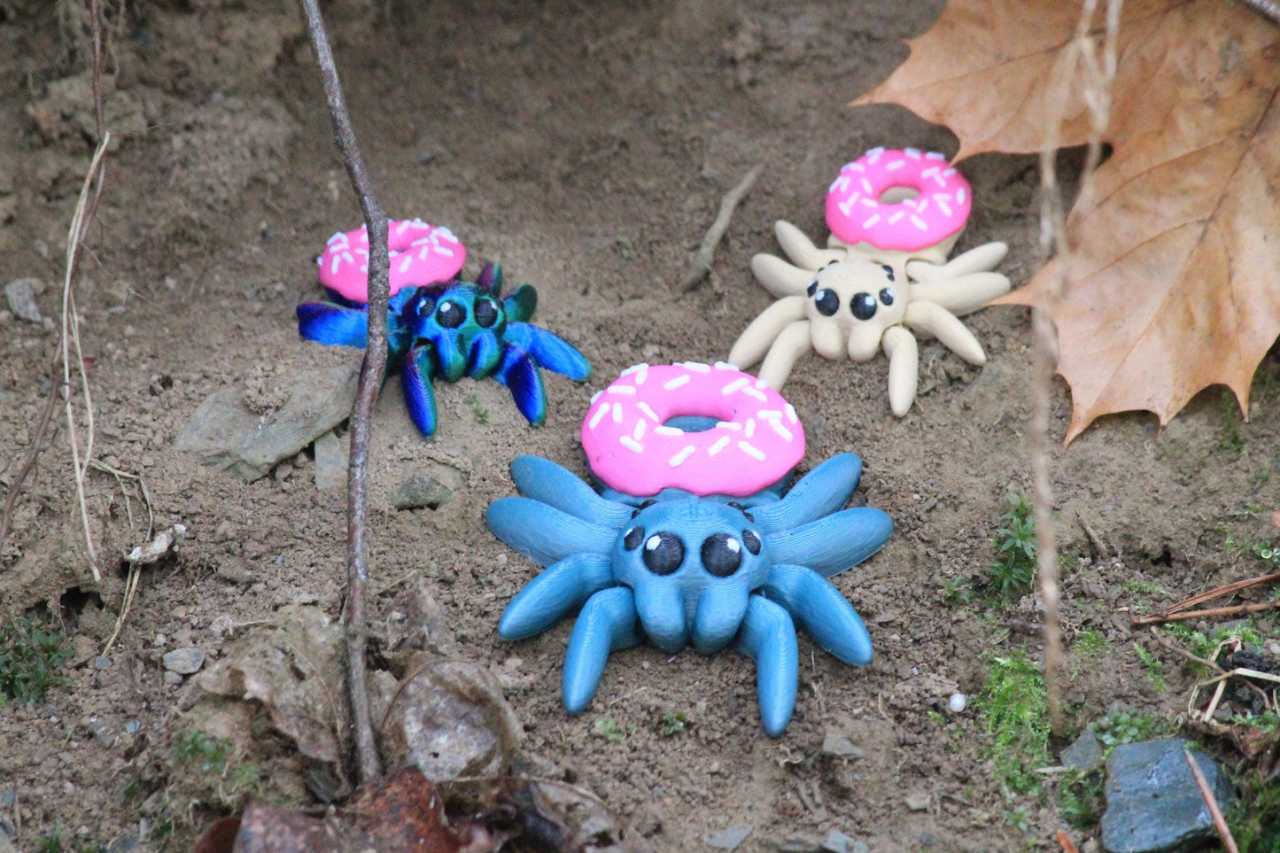 Verzaubernd und einzigartig – die Süße Donut-Spinne Cinderwing3D
