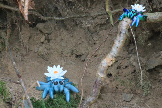 Water Lily Spider – Zauberhafte Eleganz der Natur Water Lily Tiny Spider Cinderwing3D