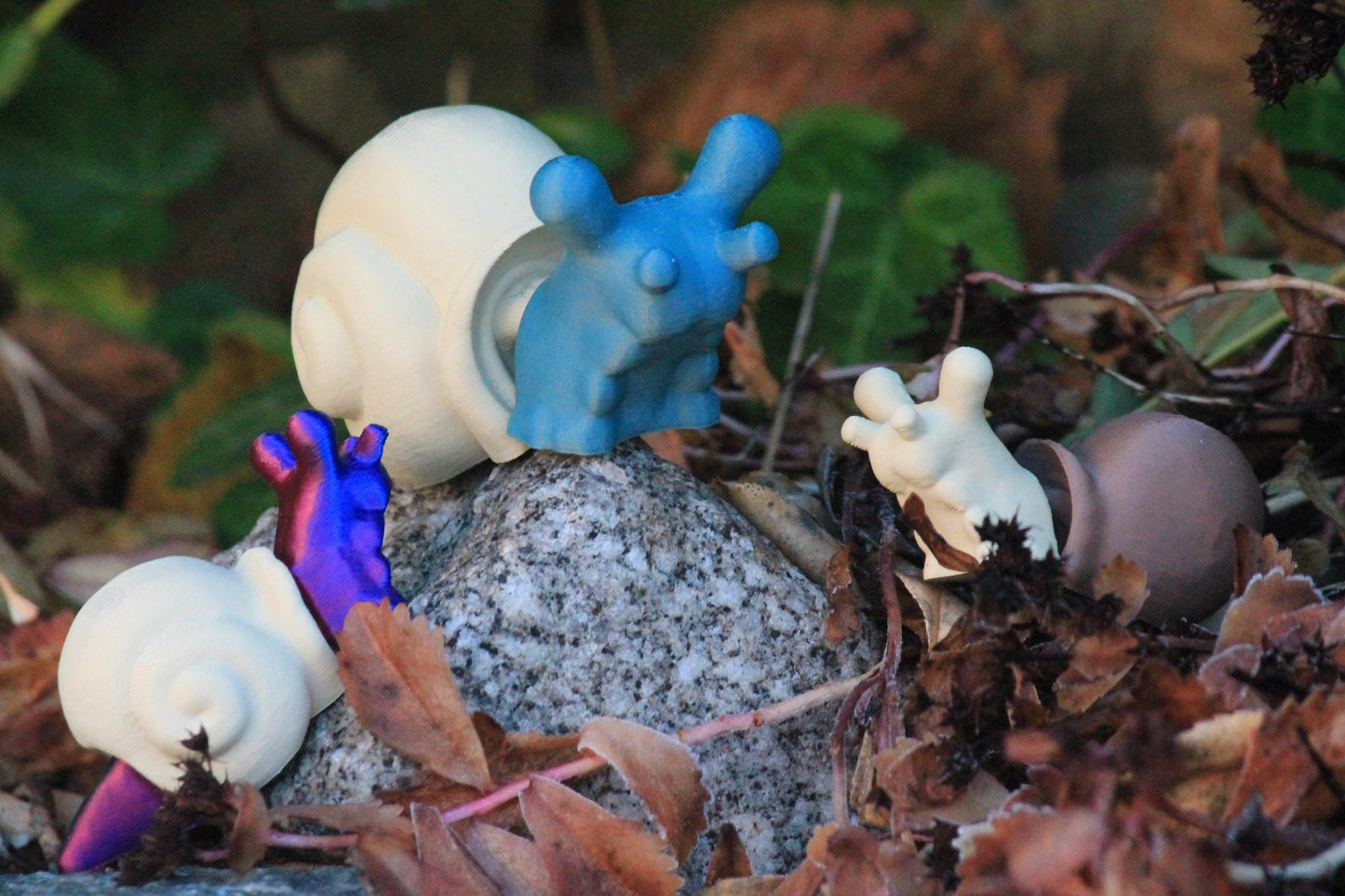 Magische Fantasie-Schnecke – Ein Hauch von Naturzauber Cinderwing3D