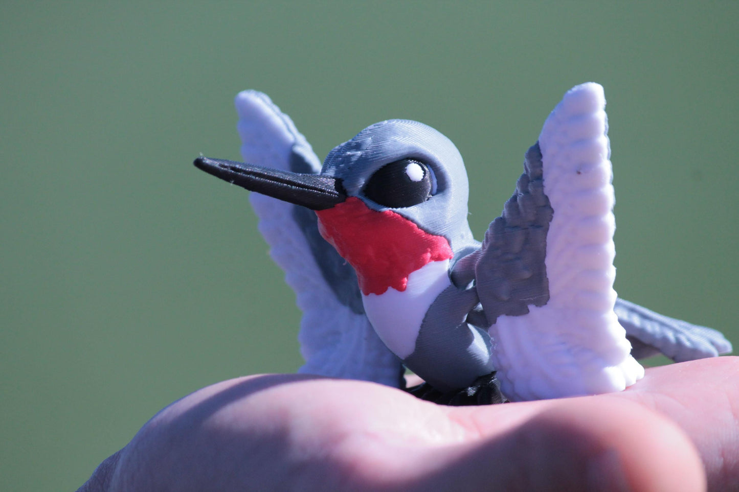 Tiny Hummingbird – Die Magie des fliegenden Juwels Cinderwing3D