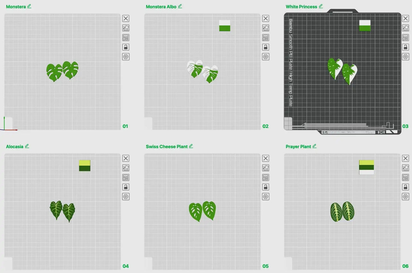 Grid of plant illustrations showing Monstera, Monstera Albo, White Princess, Alocasia, Swiss Cheese Plant, and Prayer Plant leaves on a digital interface.
