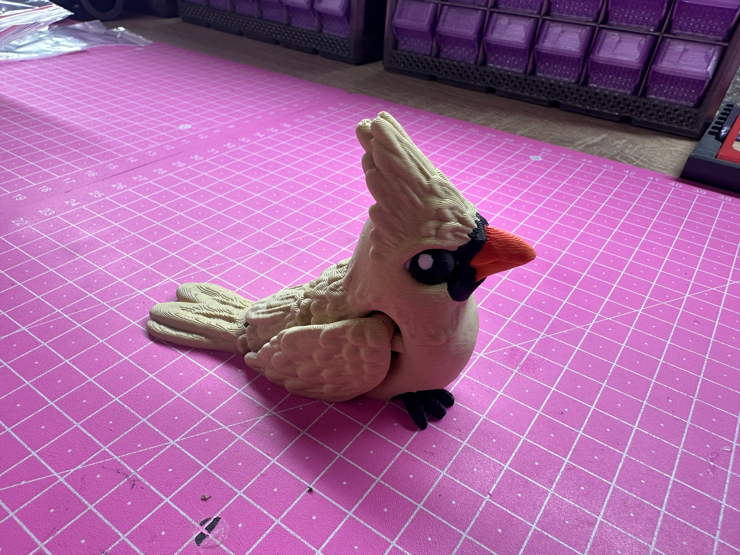 Tiny Cardinal – Kleiner Wintervogel voller Wärme Cinderwing3D