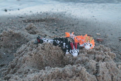 Baby Koi Dragon – Eleganz aus der Wasserwelt Cinderwing3D