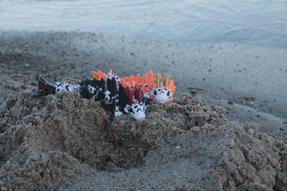 Baby Koi Dragon – Eleganz aus der Wasserwelt Cinderwing3D