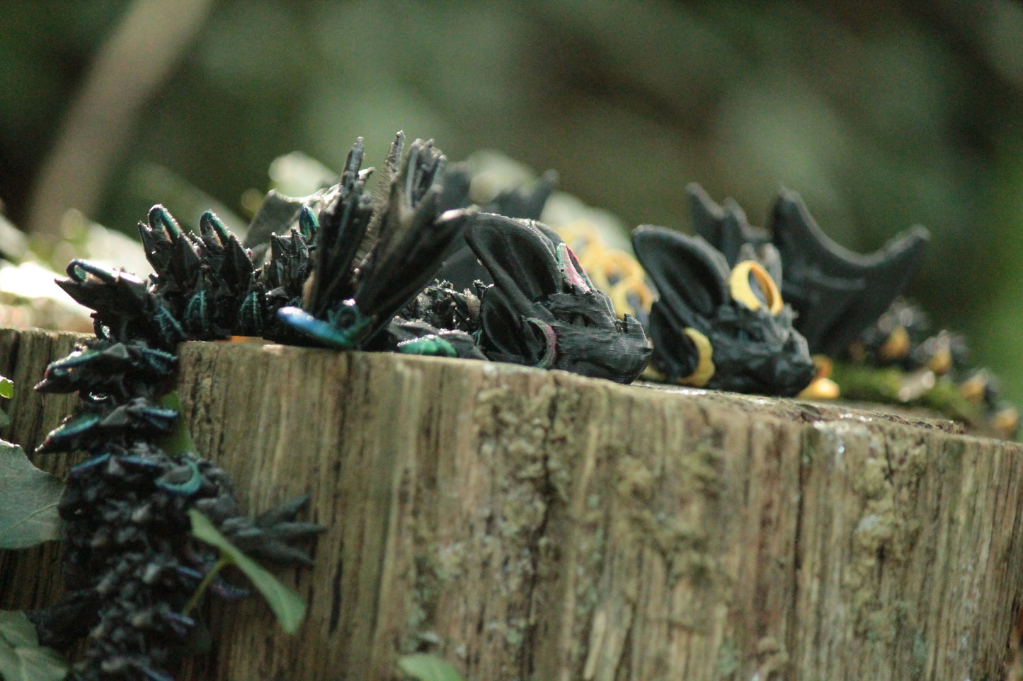 Nightwing Dragon – Geheimnisvoller Drache der Nacht Cinderwing3D