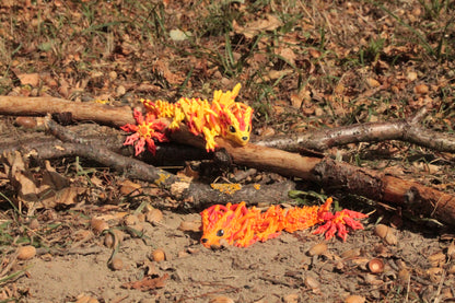 Baby Solar Dragon – Strahlende Drachenfigur in Normal & Winged Cinderwing3D