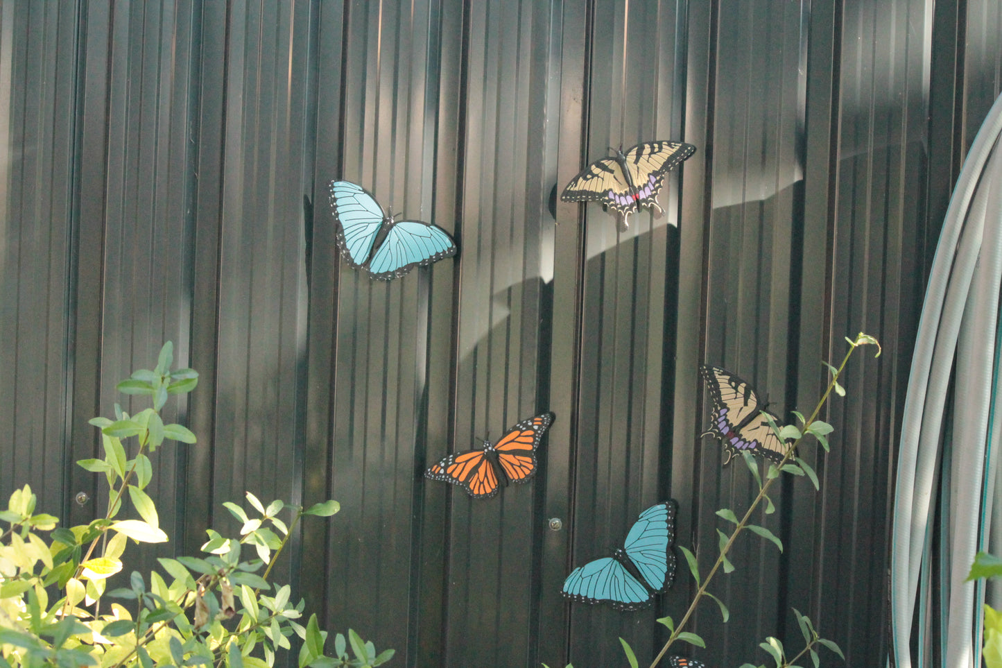 Butterfly Magnete – 3er Pack bunte Schmetterlings-Deko ForgeCore