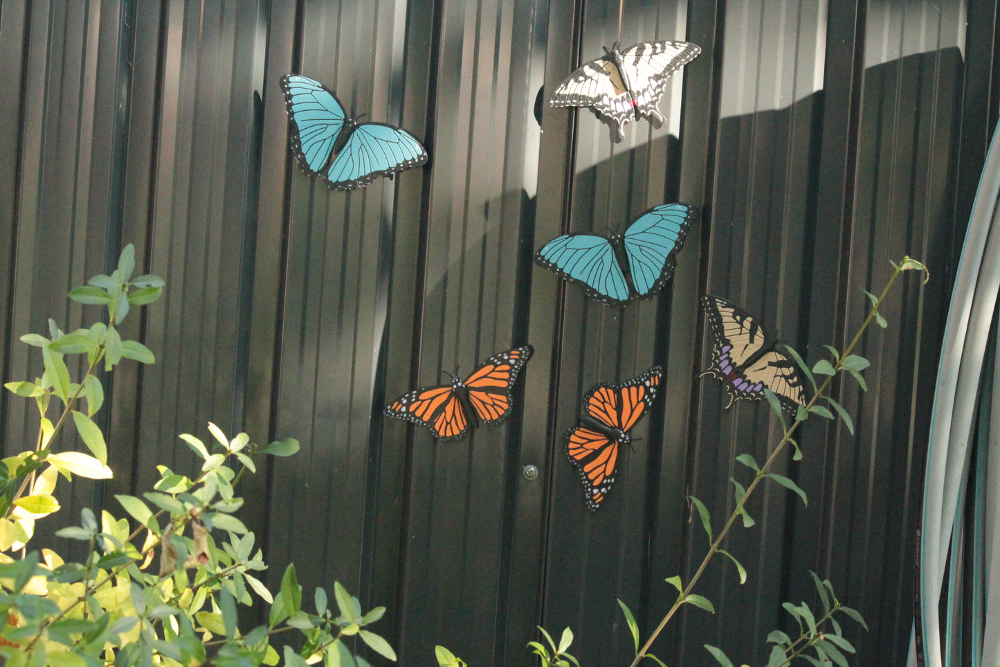 Butterfly Magnete – 3er Pack bunte Schmetterlings-Deko ForgeCore