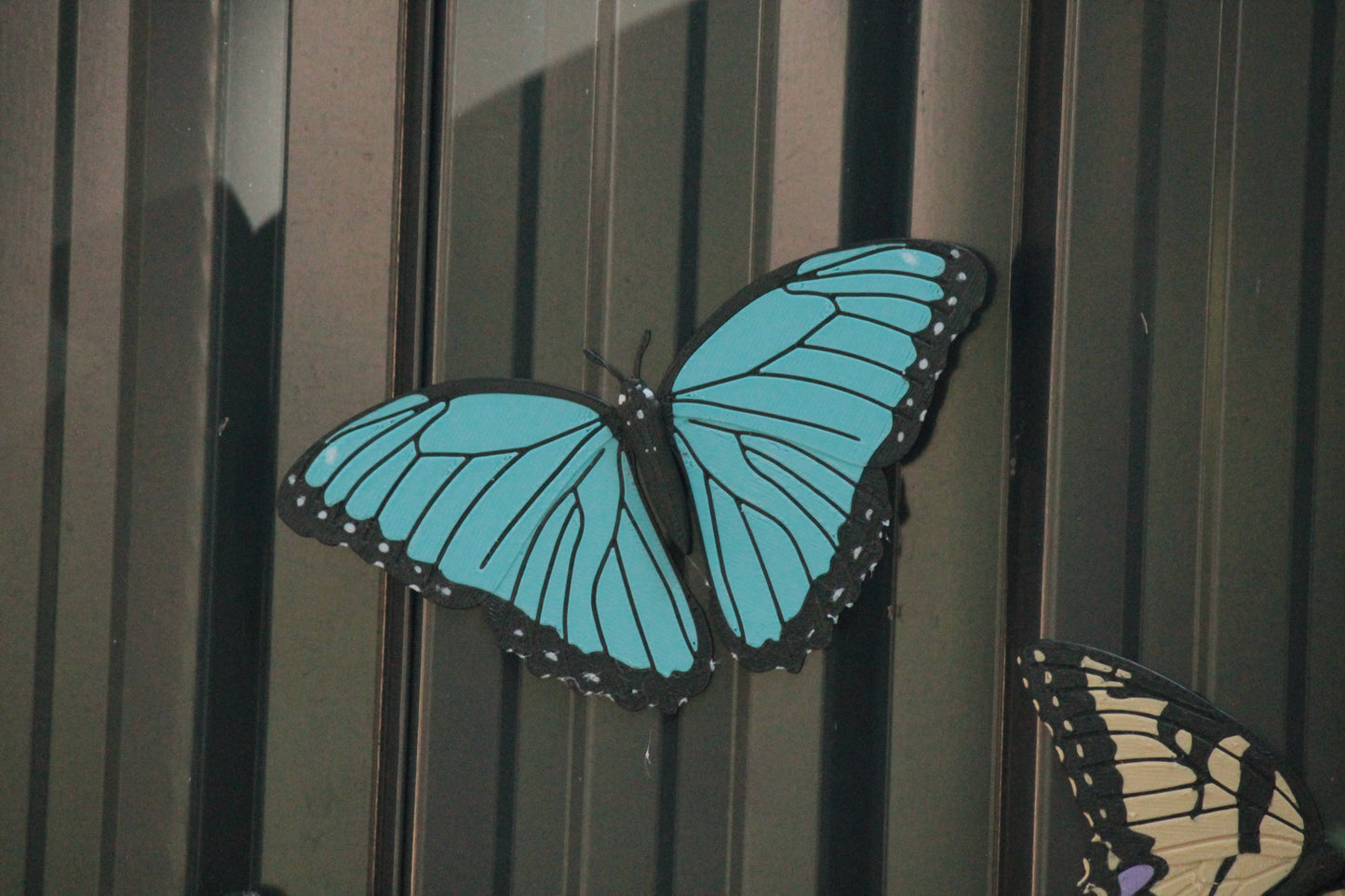 Butterfly Magnete – 3er Pack bunte Schmetterlings-Deko ForgeCore