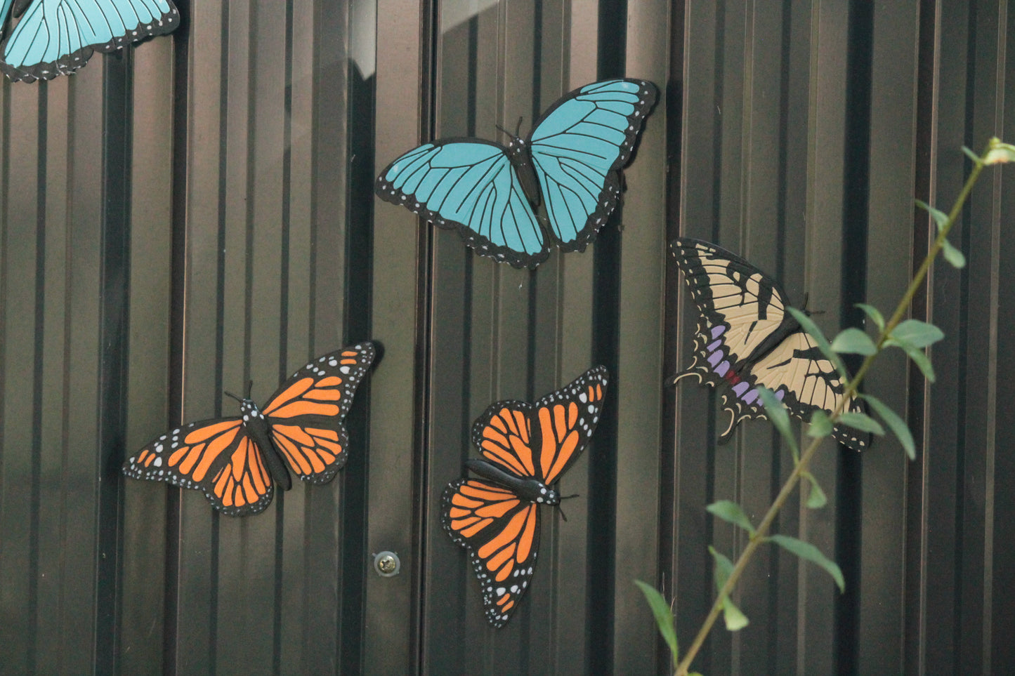 Butterfly Magnete – 3er Pack bunte Schmetterlings-Deko ForgeCore