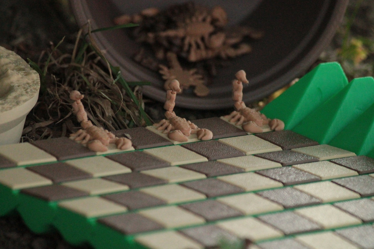 Cackti Chess Set + Damenfiguren & Aufbewahrung – Einzigartiges Fantasy-Schach ForgeCore