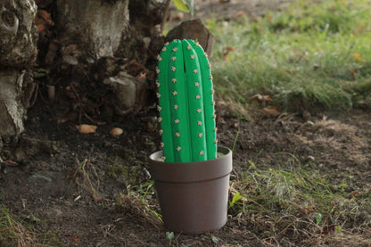 Cackti Chess Set + Damenfiguren & Aufbewahrung – Einzigartiges Fantasy-Schach ForgeCore