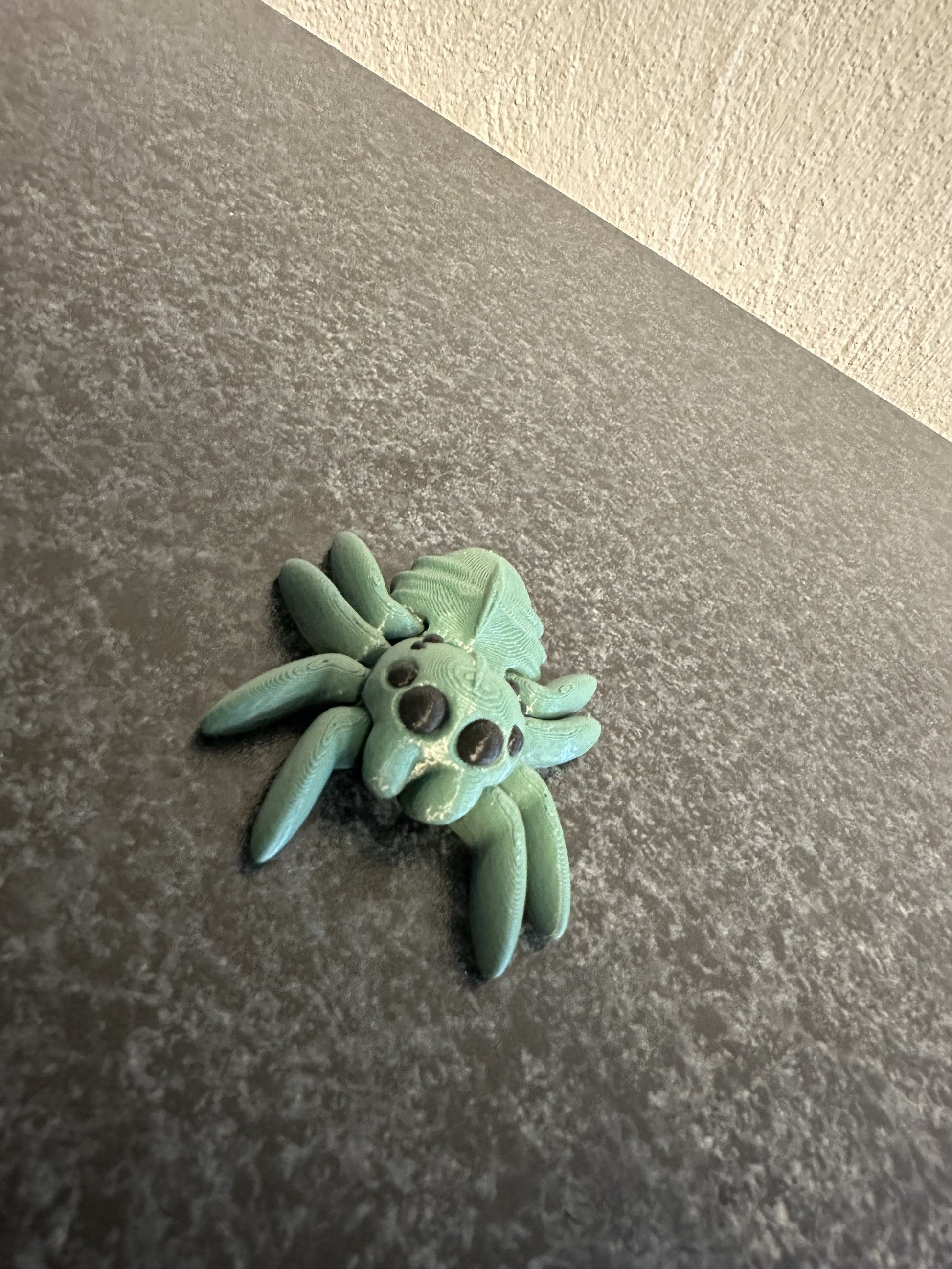 Tiny Spider – Eine Faszination in Kleinstformat Cinderwing3D