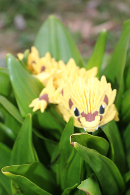 Die Magie des Sommers – Der Sonnenblumen-Drache Cinderwing3D