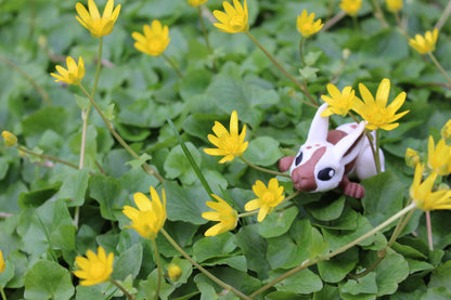 Tiny Bunny – Der zauberhafte Frühlingshase Cinderwing3D