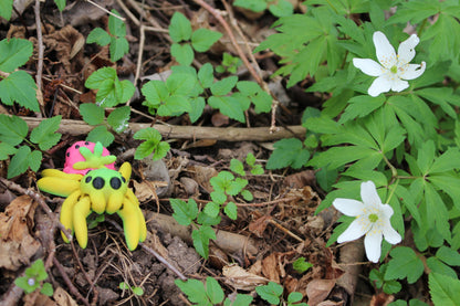 Strawberry Tiny Spider – Sommerliche Frische für Ihr Zuhause Cinderwing3D