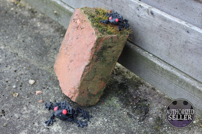 Count Frogula – Der gruselig-charmante Vampir-Frosch Cinderwing3D