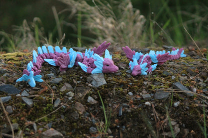 Axolotl Sky Dragon – Where Magic Meets Elegance Cinderwing3D