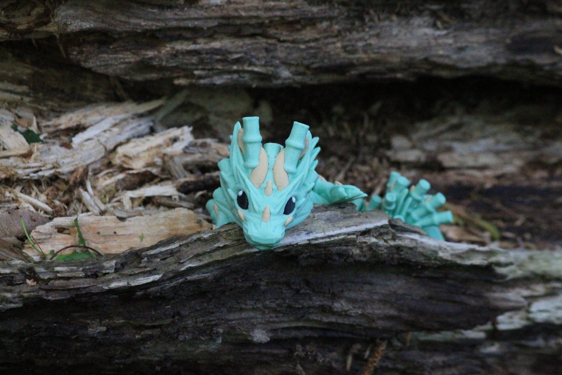 Baby Bamboo Dragon – Nature’s Whisper