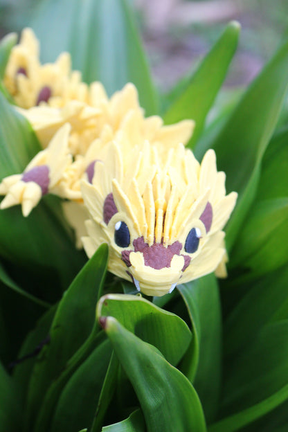 Die Magie des Sommers – Der Sonnenblumen-Drache Cinderwing3D