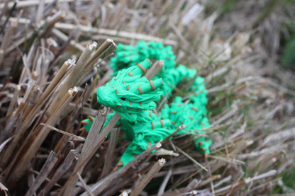 Bamboo Spirit Dragon – The Guardian of Nature Cinderwing3D