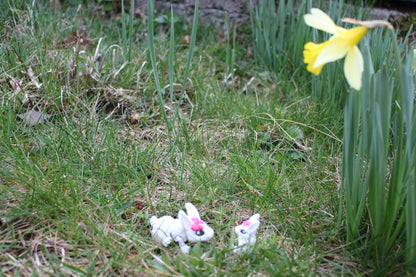 Tiny Bunny Bow – Der zauberhafte Osterhase mit Schleife Cinderwing3D