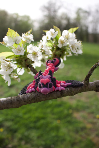 Herzchen-Drache – Ein Hauch von Liebe & Magie Cinderwing3D