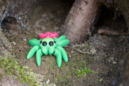 Orchideen-Zauberspinne – Tiny Orchid Spider Cinderwing3D