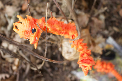 Baby Herbstdrache – Magie des Wandels Cinderwing3D