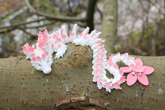 Cherry Blossom Dragon – Elegance and Fantasy Combined Cinderwing3D