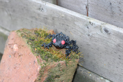 Count Frogula – Der gruselig-charmante Vampir-Frosch Cinderwing3D