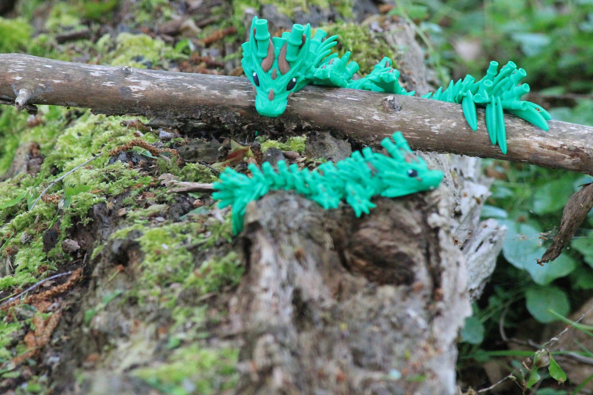 Baby Bamboo Dragon – Nature’s Whisper