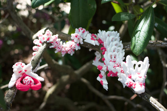 Light Heart Dragon – Ein Drache der Liebe und Magie Cinderwing3D