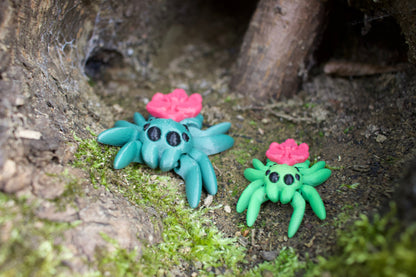 Orchideen-Zauberspinne – Tiny Orchid Spider Cinderwing3D