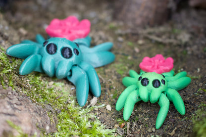 Orchideen-Zauberspinne – Tiny Orchid Spider Cinderwing3D