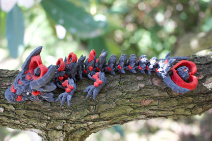 Dunkelherz-Baby-Drache – Magische Liebe trifft geheimnisvolle Eleganz Cinderwing3D