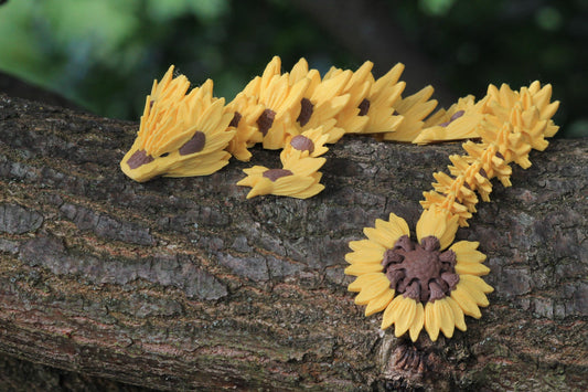 Sunflower Dragon – Die Magie der Sonnenblume Cinderwing3D