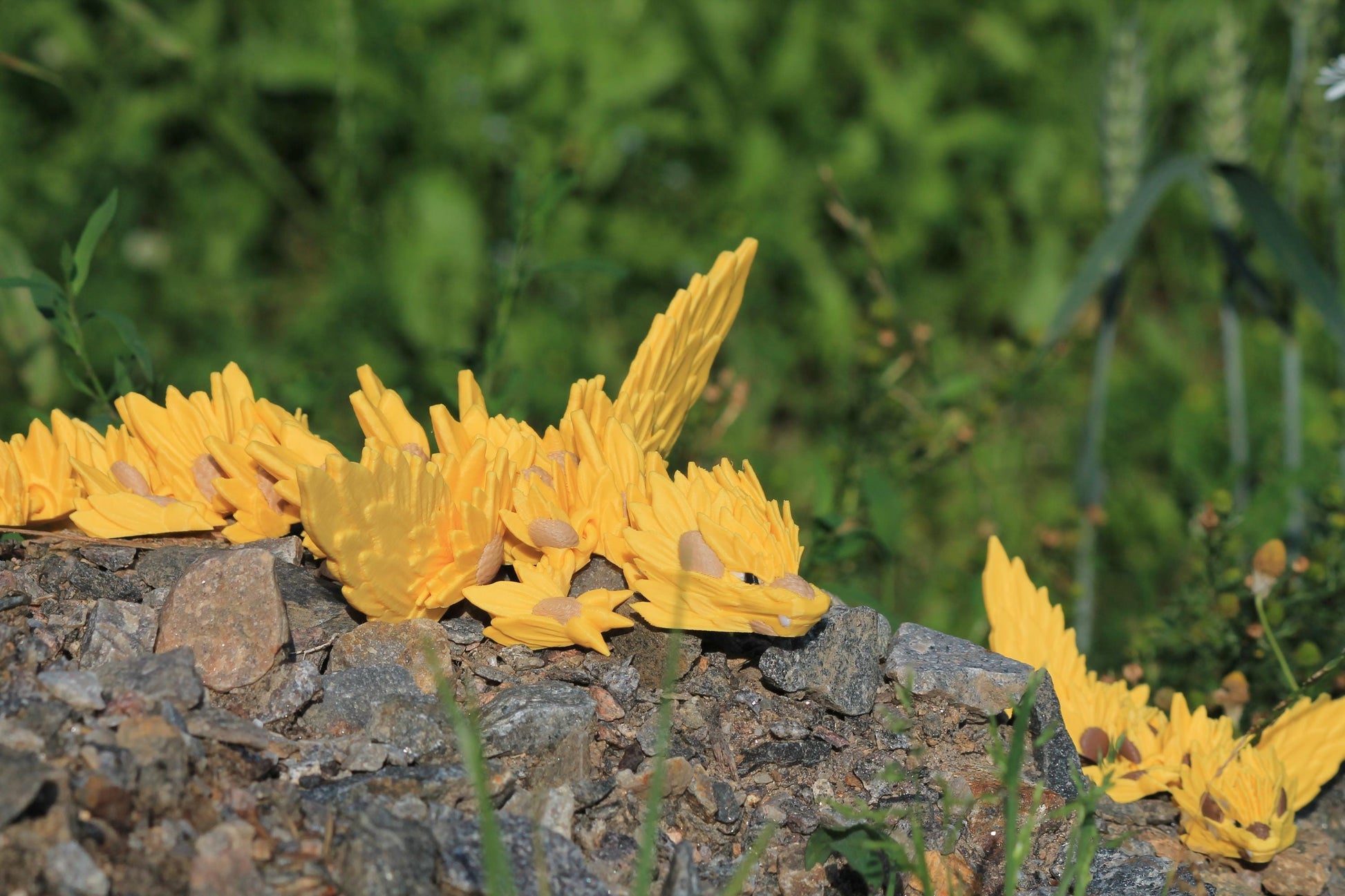 Sonnenblumen-Drachenschwinge – Sunflower Winged Dragon Cinderwing3D