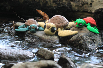 Sea Turtle Cinderwing3D – Fascinating Sea Turtle