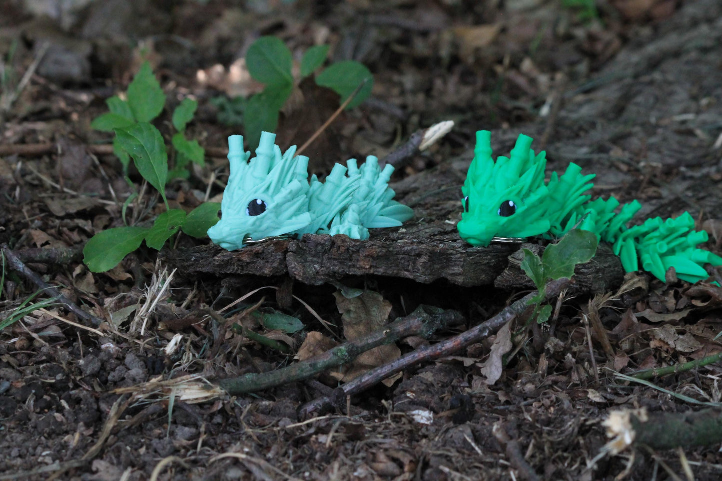 Baby Bamboo Dragon – Nature’s Whisper