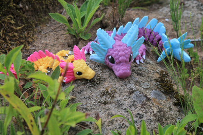 Baby Axolotl Dragon Cinderwing3D – Charming Axolotl Dragon